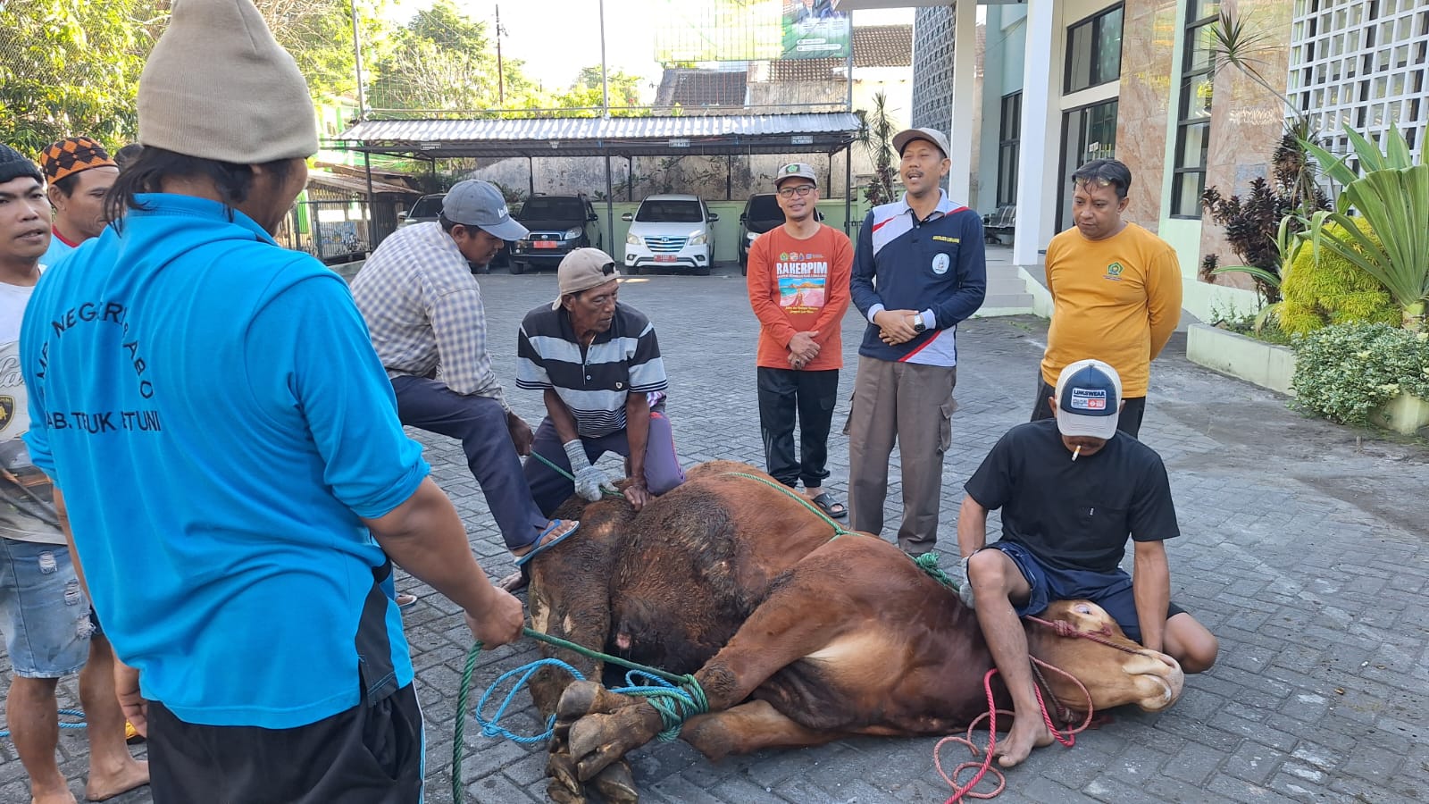 Dua Hari Pelaksanaan Kurban, Kankemenag Lumajang Wujudkan Semangat Berbagi dan Kebersamaan